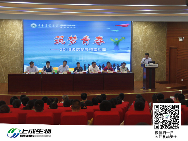 筑夢青春 攜手并進