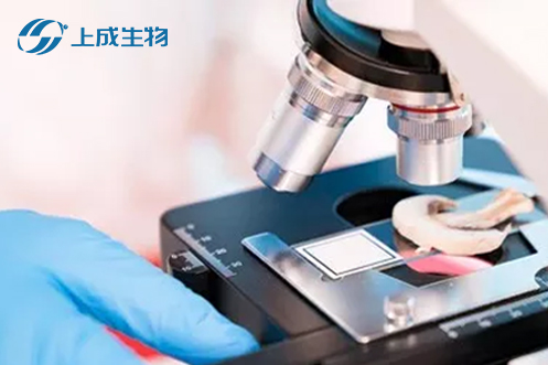 喜報(bào)，上成生物攜手荊州市四大檢測部門擬定食用農(nóng)產(chǎn)品快檢實(shí)驗(yàn)室建設(shè)運(yùn)行標(biāo)準(zhǔn)